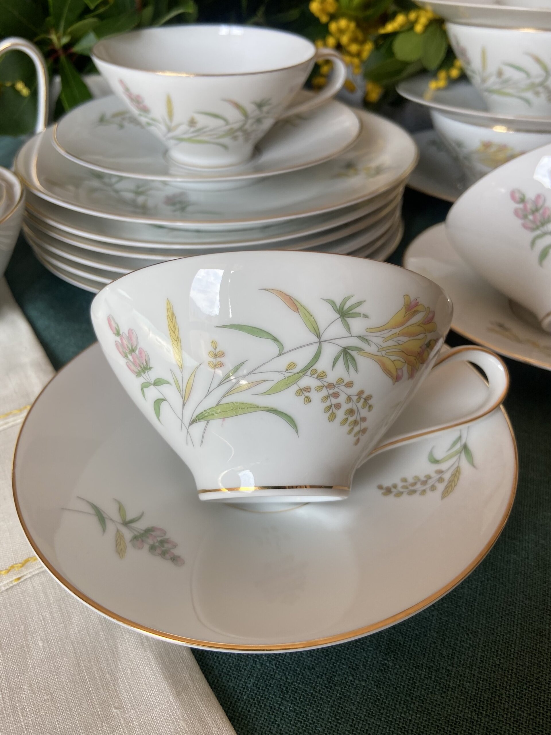 6 tazas de té y 6 platos de merienda en porcelana alemana "Rossenthal" - 6