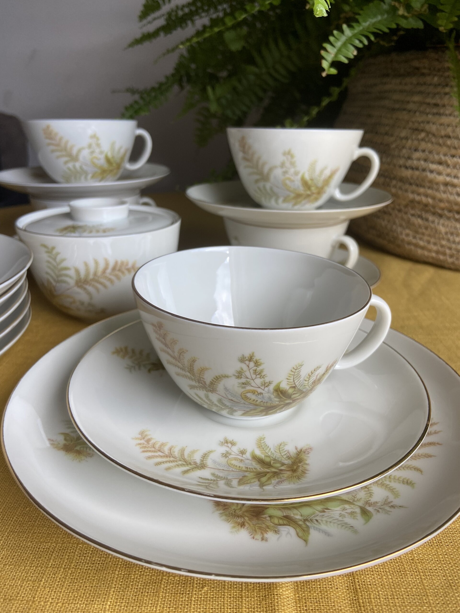 5 tazas de té/desayuno y 6 platos de merienda en porcelana suiza "Langenthal" - 9