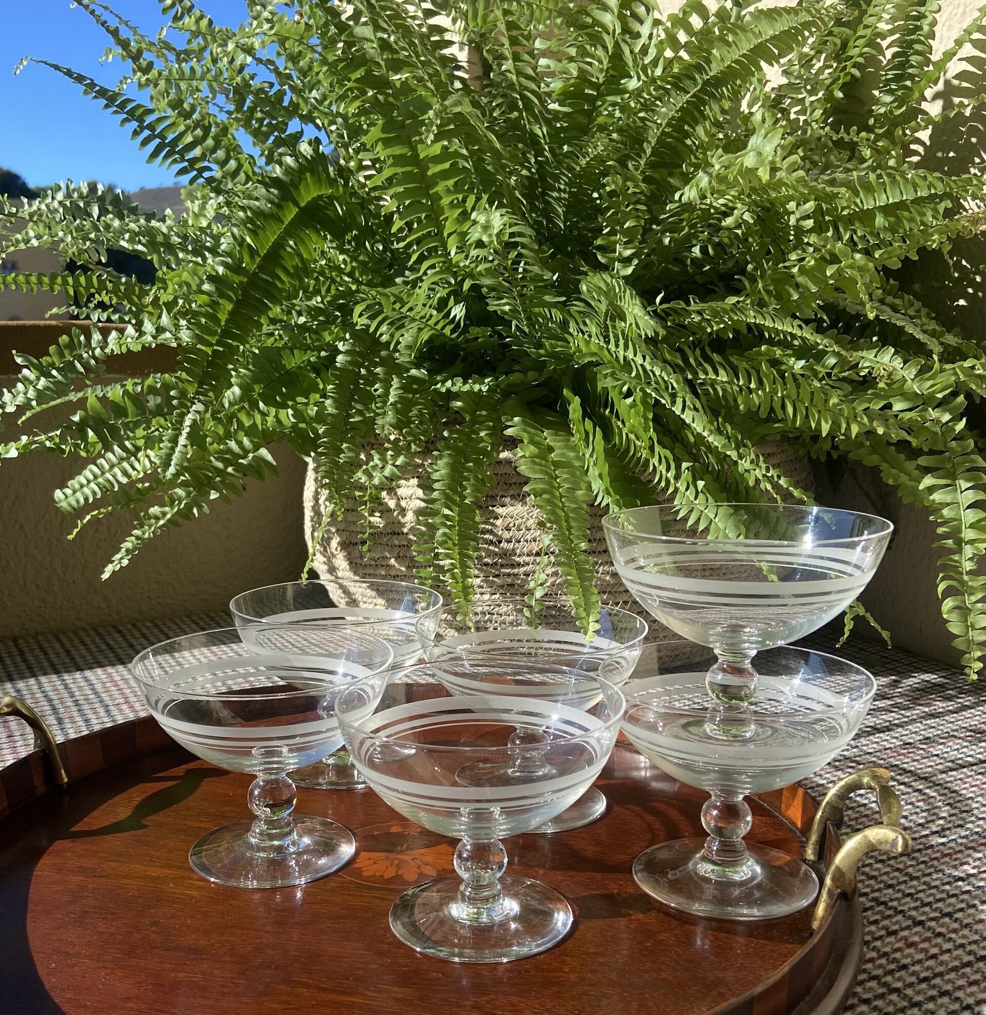 6 copas de cava/postre en cristal serigrafiado - 1