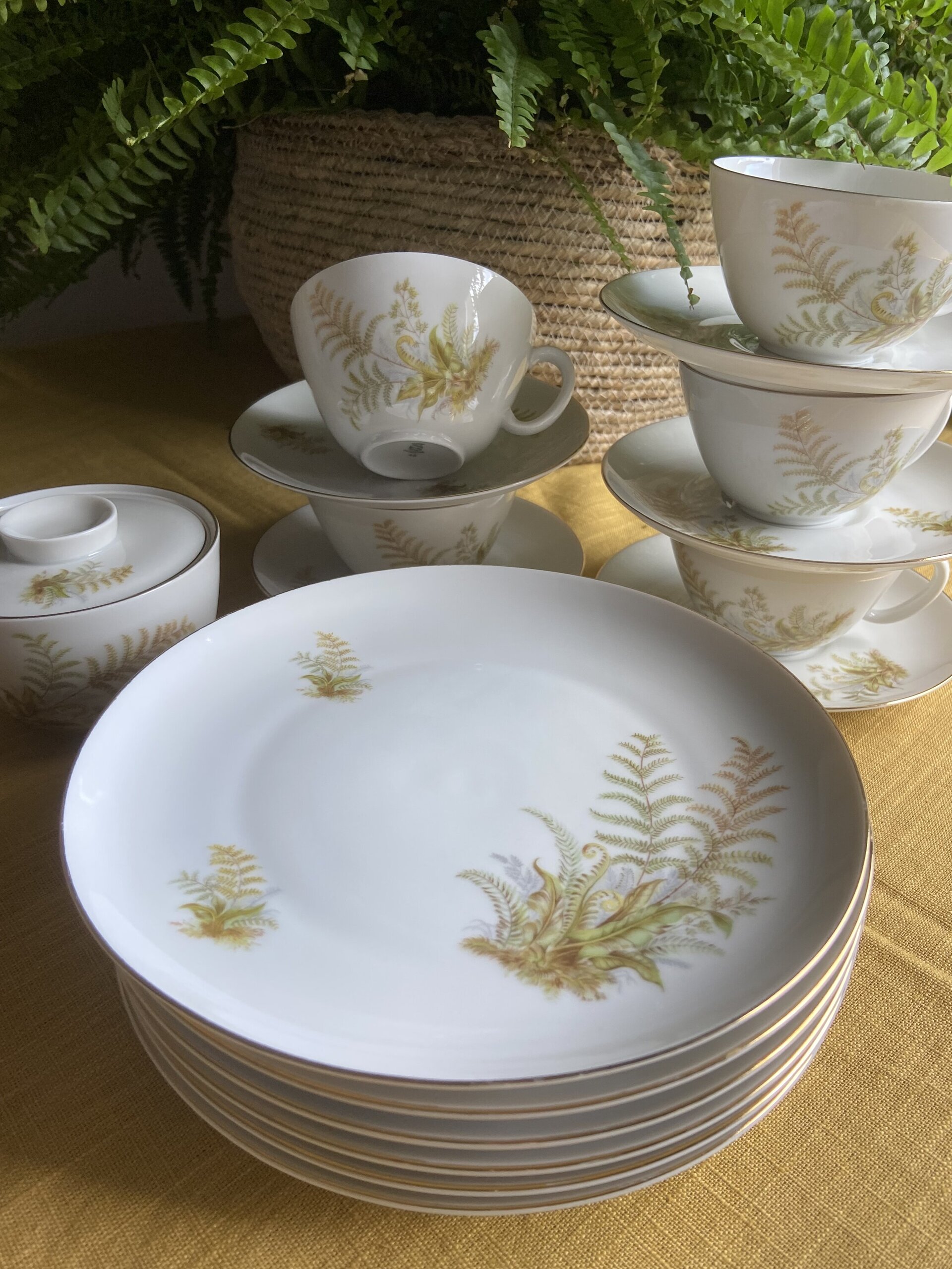 5 tazas de té/desayuno y 6 platos de merienda en porcelana suiza "Langenthal" - 11