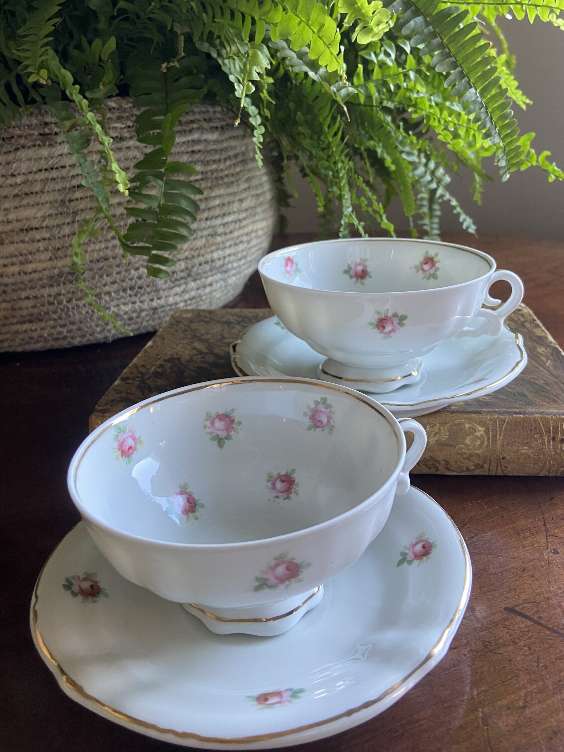 2 tazas de té/desayuño en porcelana levantina "Hispania". - 4