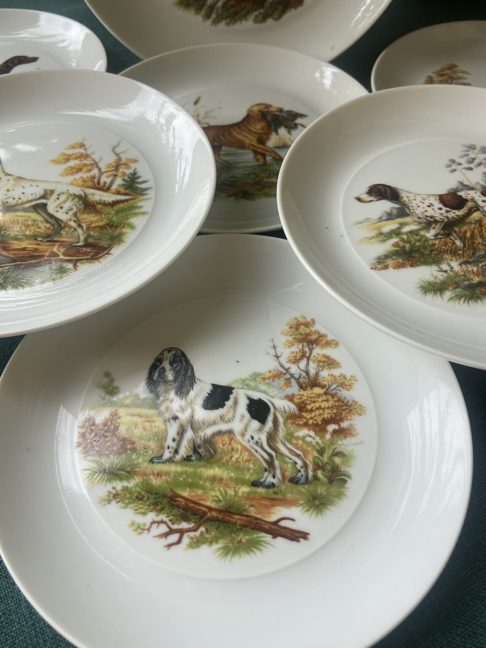 Fuente y 6 platos merienda en porcelana "Bidasoa". - 9