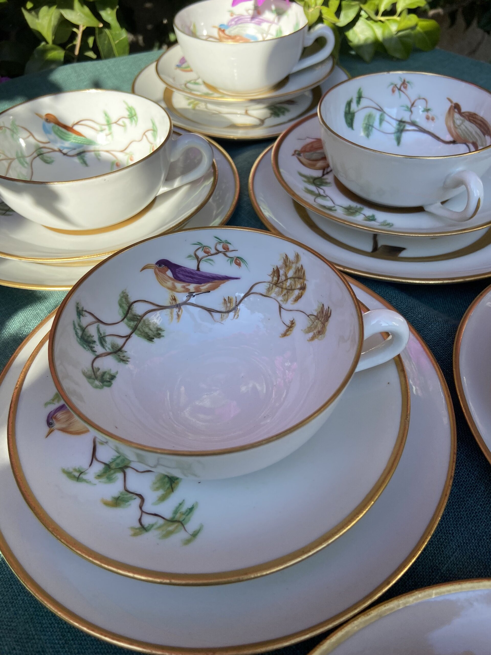 6 tazas de té con plato y 6 platos de merienda en porcelana "Bidasoa" - 9