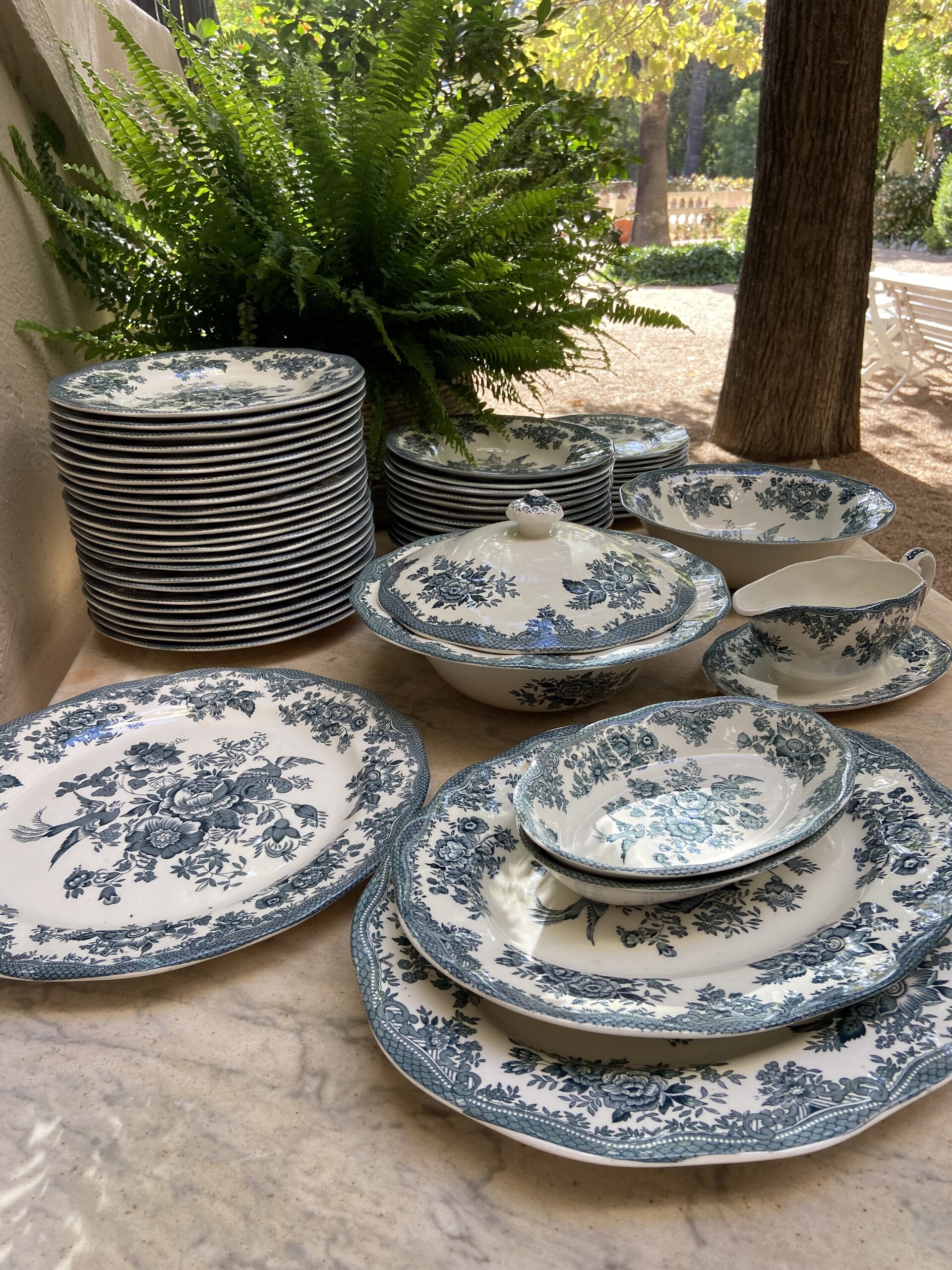 Vajilla en loza inglesa "Wedgwood" mod. Asiatic Phersants - 1