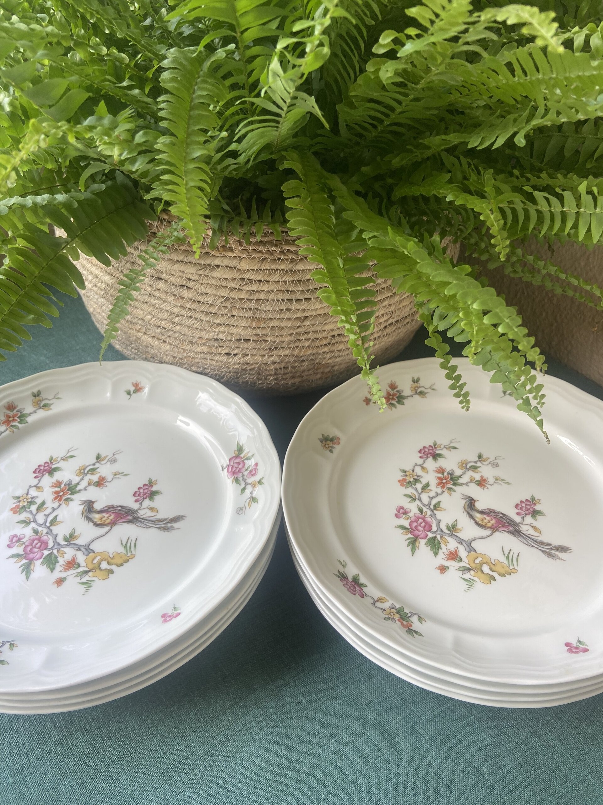 8 platos llanos en porcelana "Bidasoa". - 1