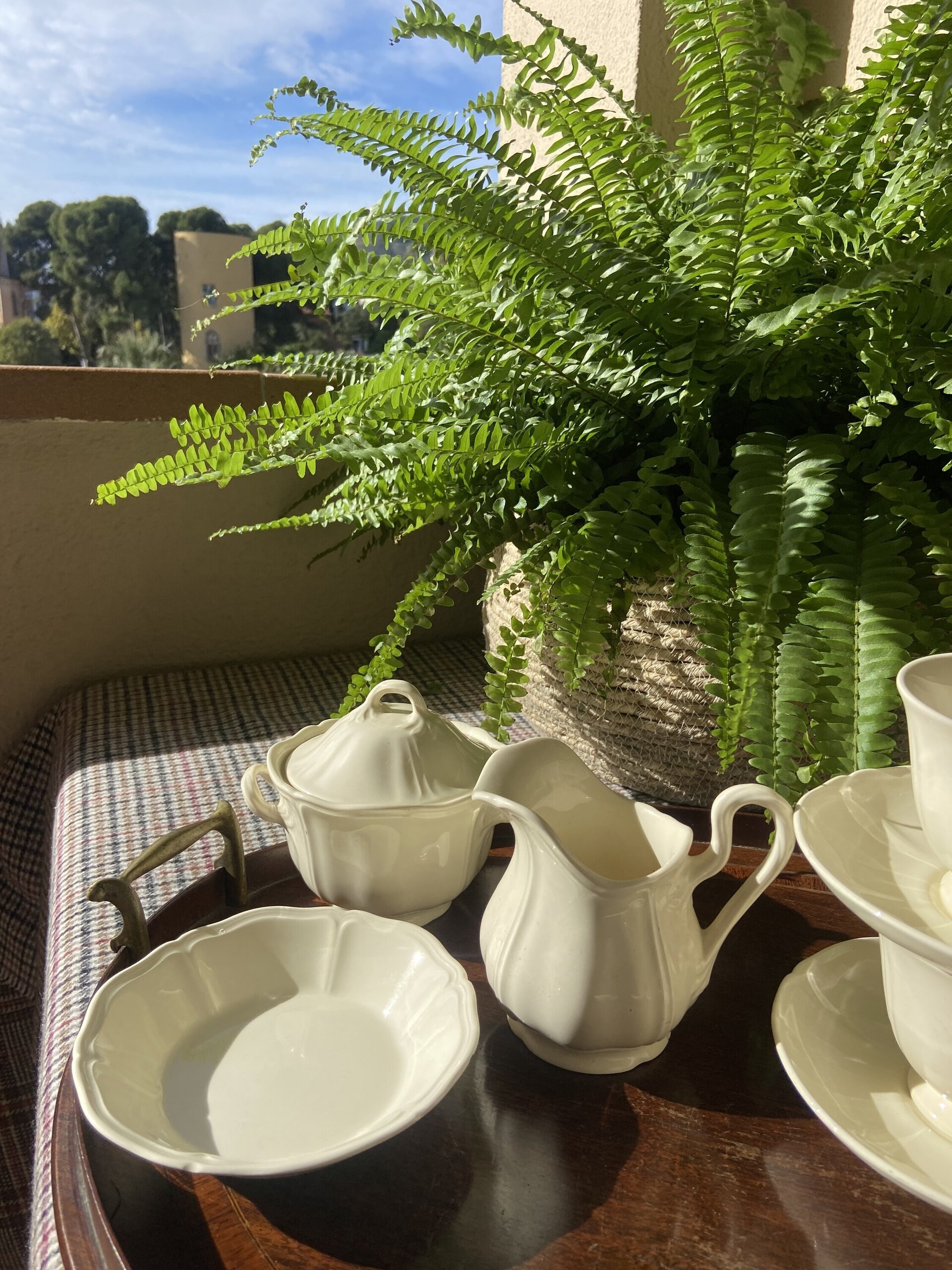 9 tazas de té, azucarero, lechera y bol ingleses "Wedgwood". - 5