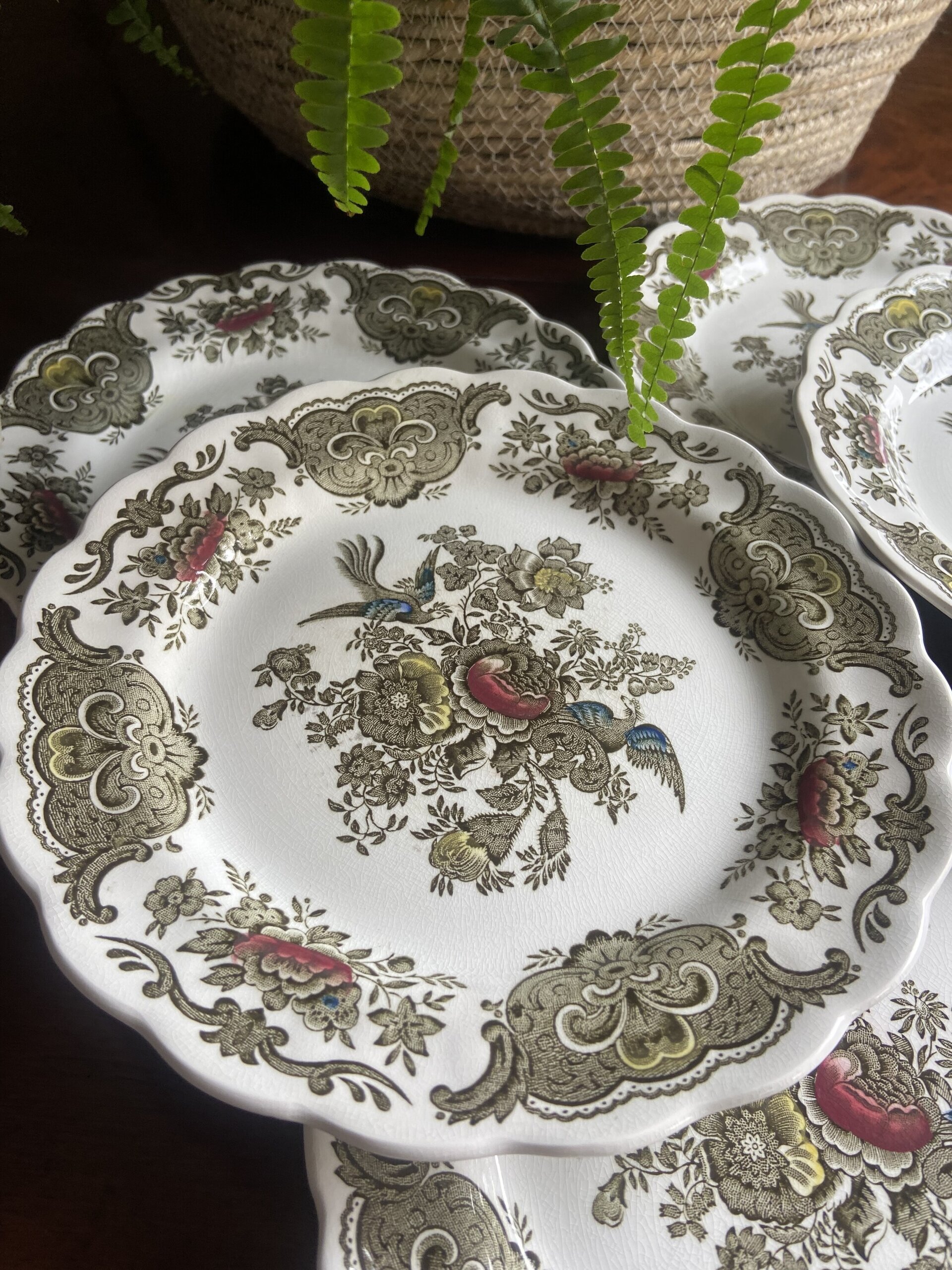 6 platos postre en loza inglesa "Ridgway" (mod. Windsor) - 2