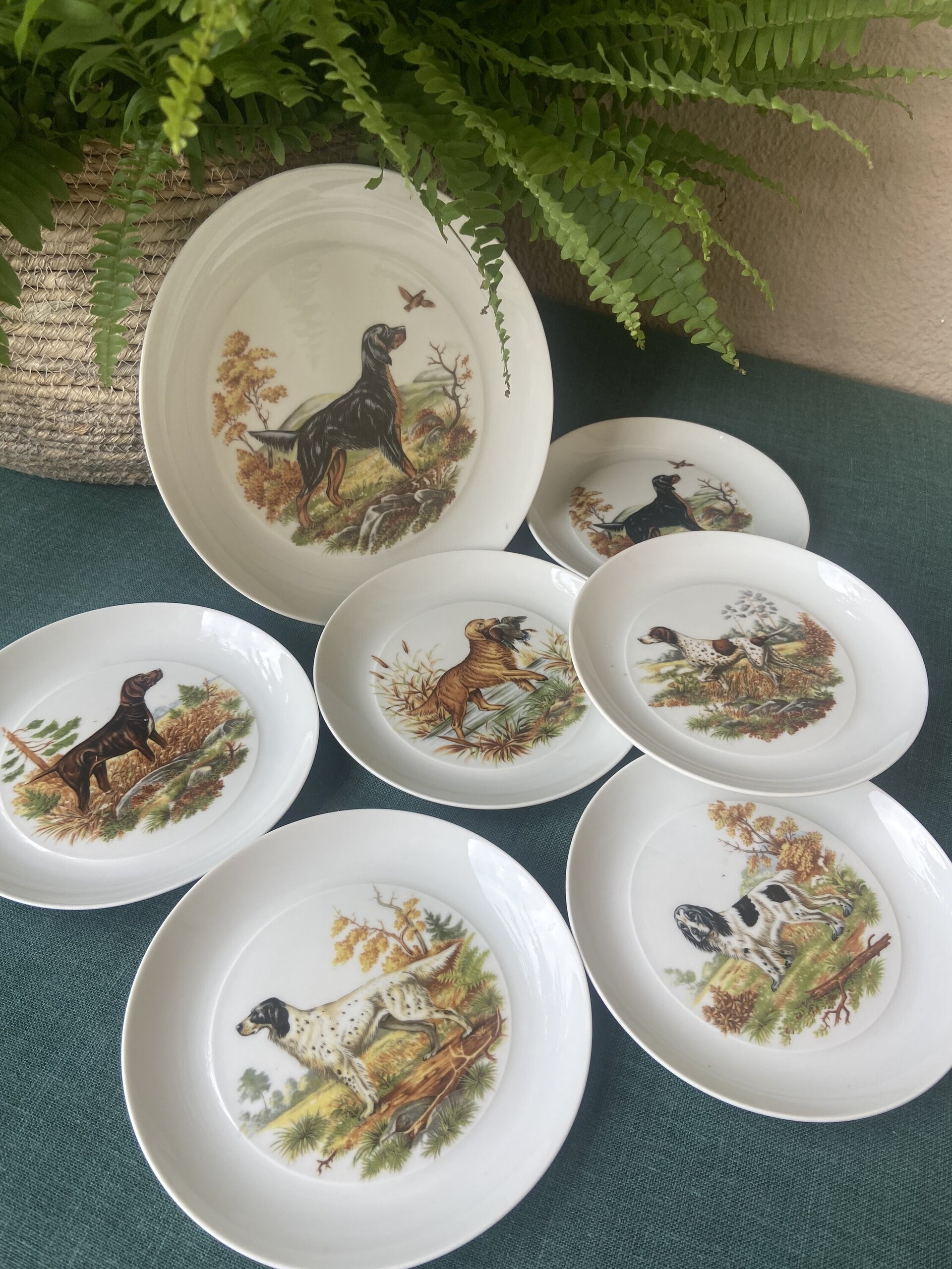 Fuente y 6 platos merienda en porcelana "Bidasoa". - 1