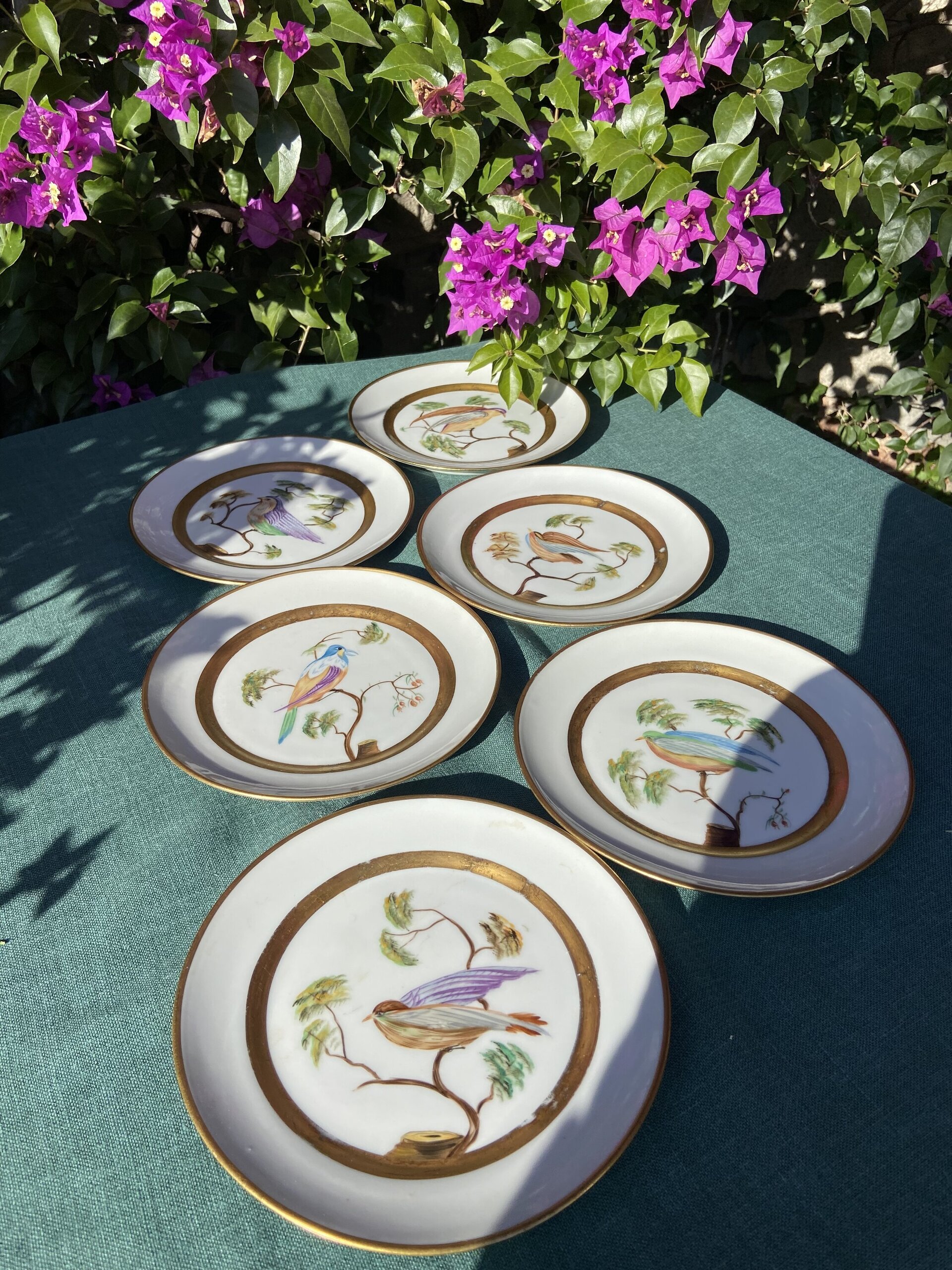 6 tazas de té con plato y 6 platos de merienda en porcelana "Bidasoa" - 2