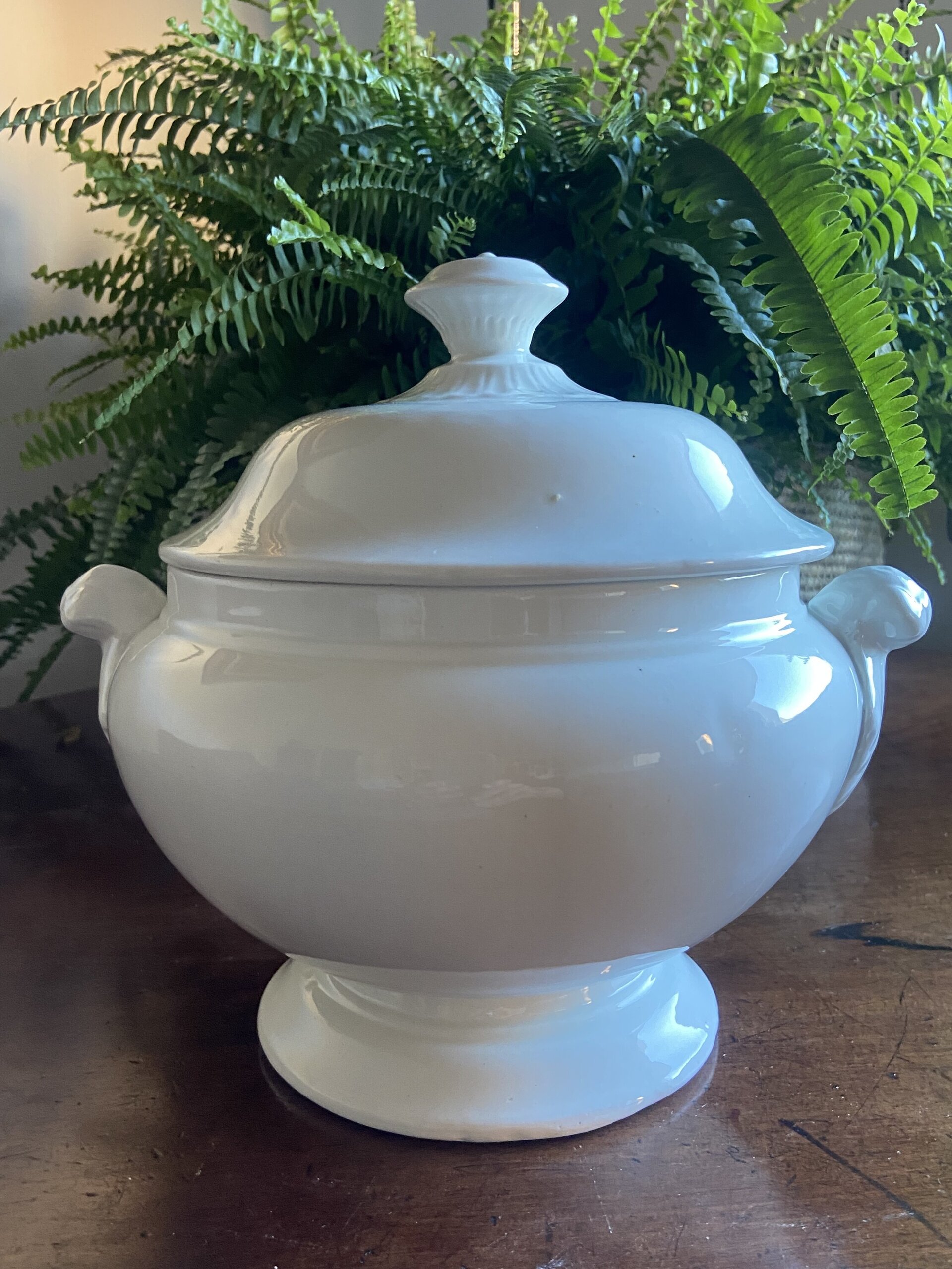 Sopera blanca de "San Claudio" Oviedo. - 1