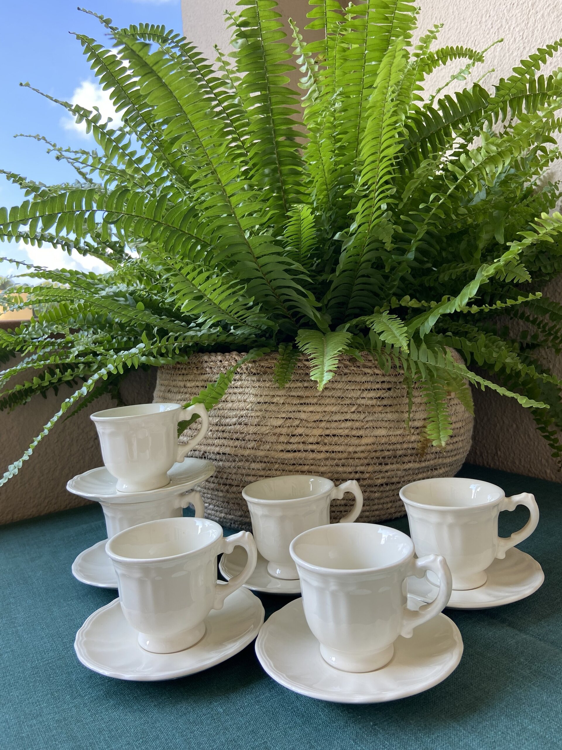 6 tazas de café en loza de "San Claudio" mod. Naranco Blanco - 4