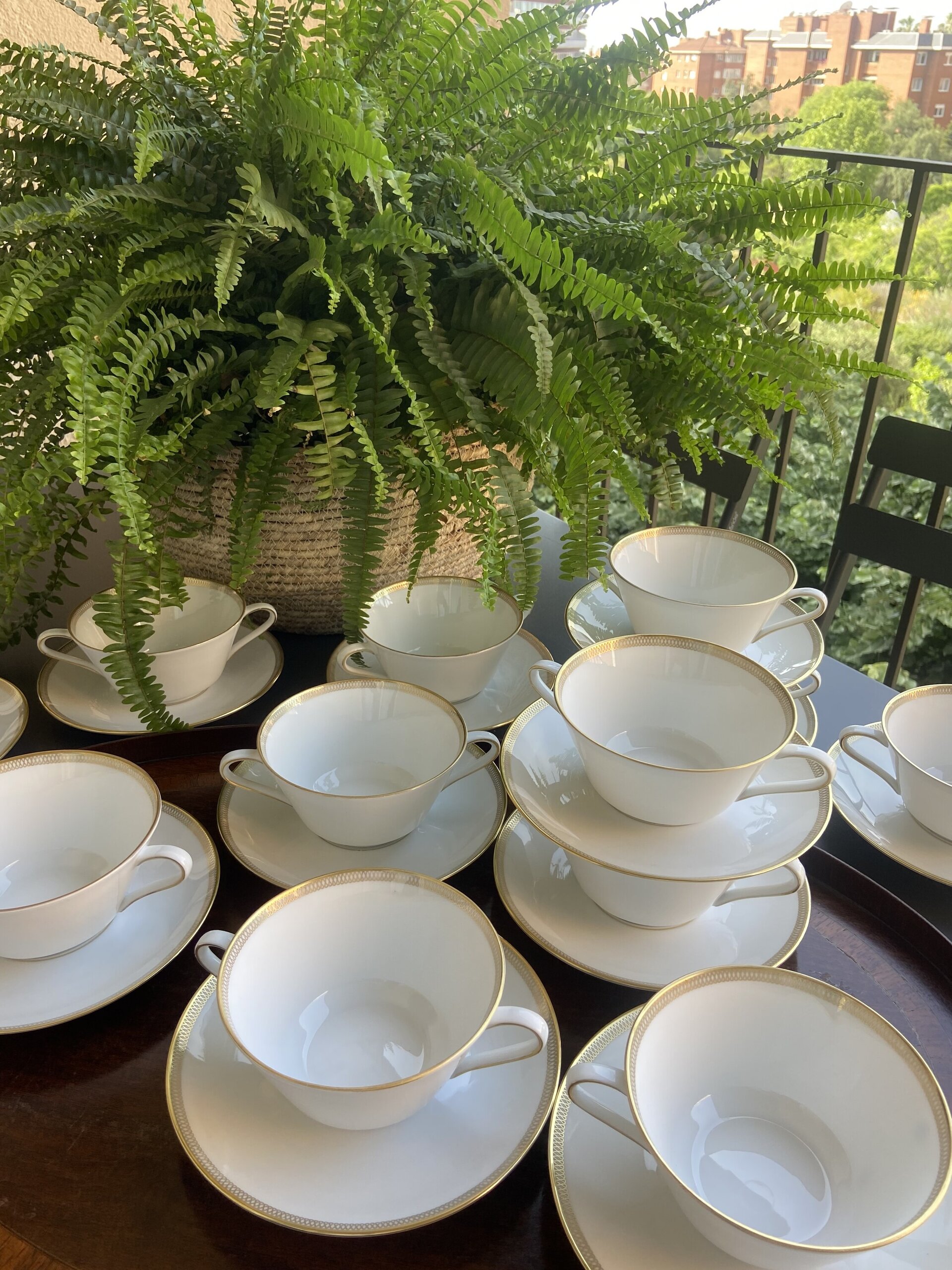 12 tazas de consomé en porcelana alemana "Eschenbach". - 4