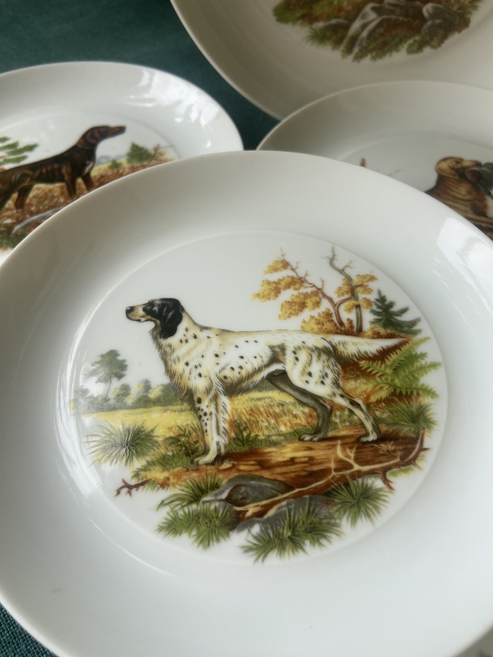 Fuente y 6 platos merienda en porcelana "Bidasoa". - 8