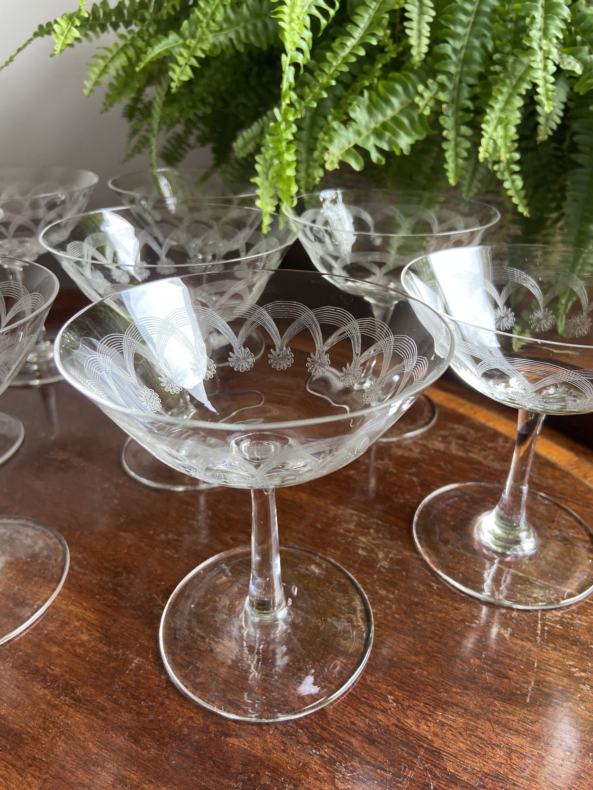8 copas cava /postre en cristal serigrafiado. - 3