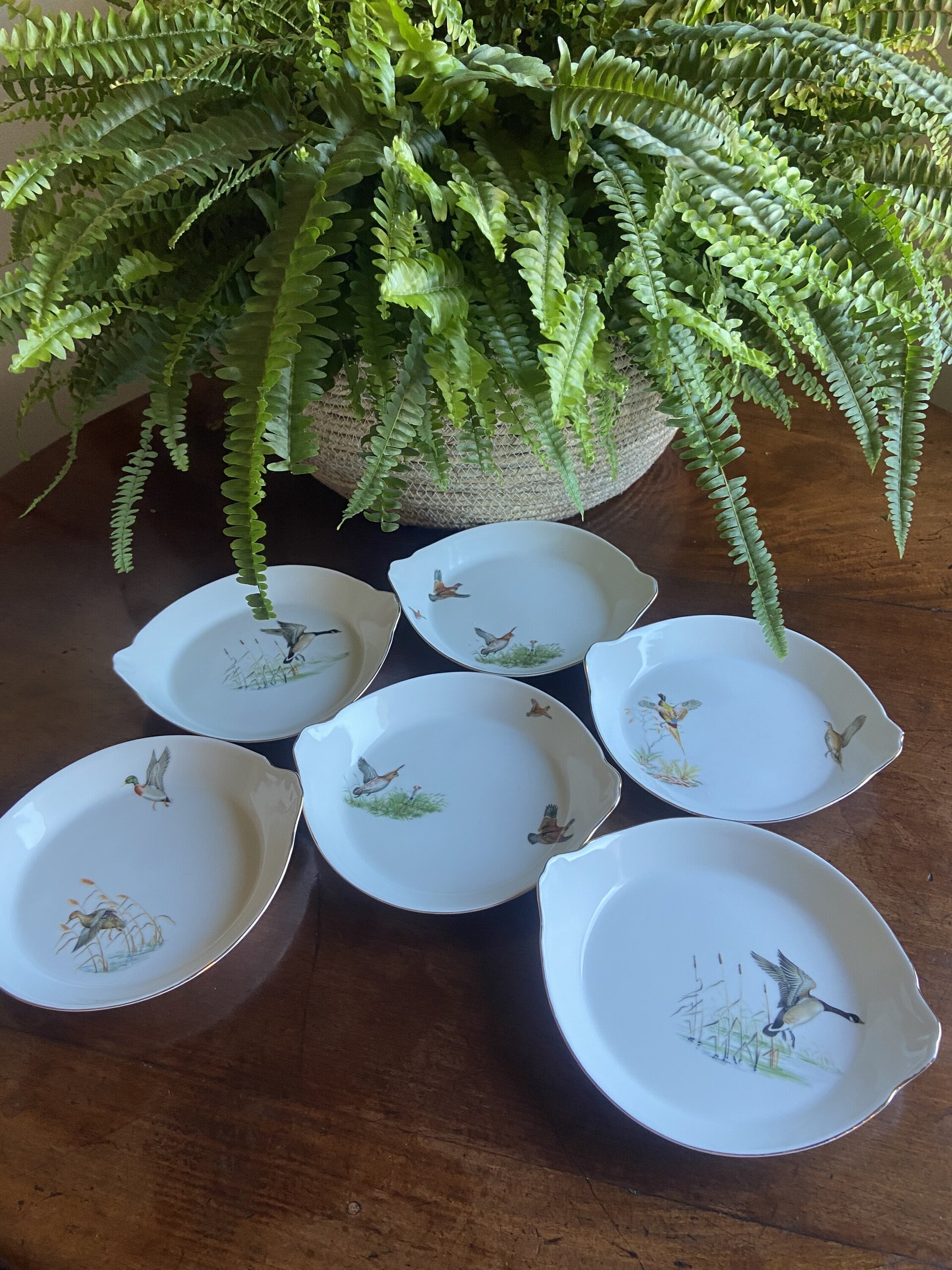 6 fuentes individuales en porcelana refractaria"Isard" - 2