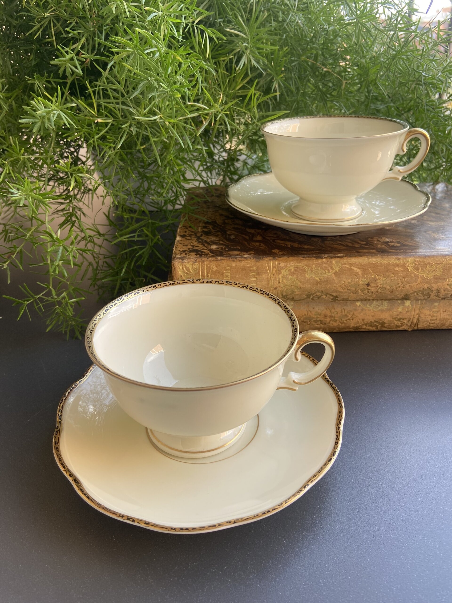 Pareja de tazas de té/desayuno en porcelana alemana K.P.M. - 1