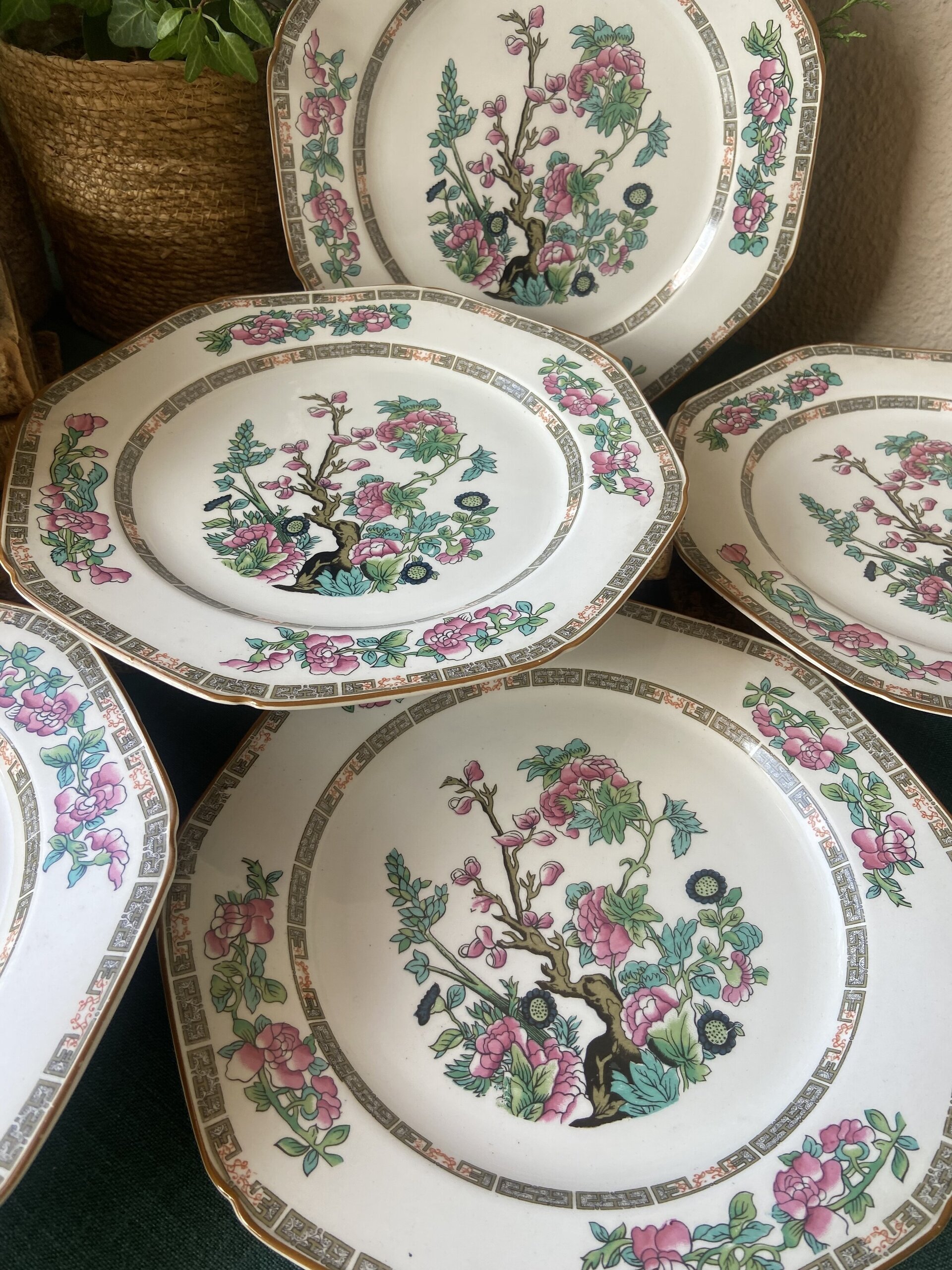 6 platos en fina porcelana inglesa "Wood & Sons". - 2