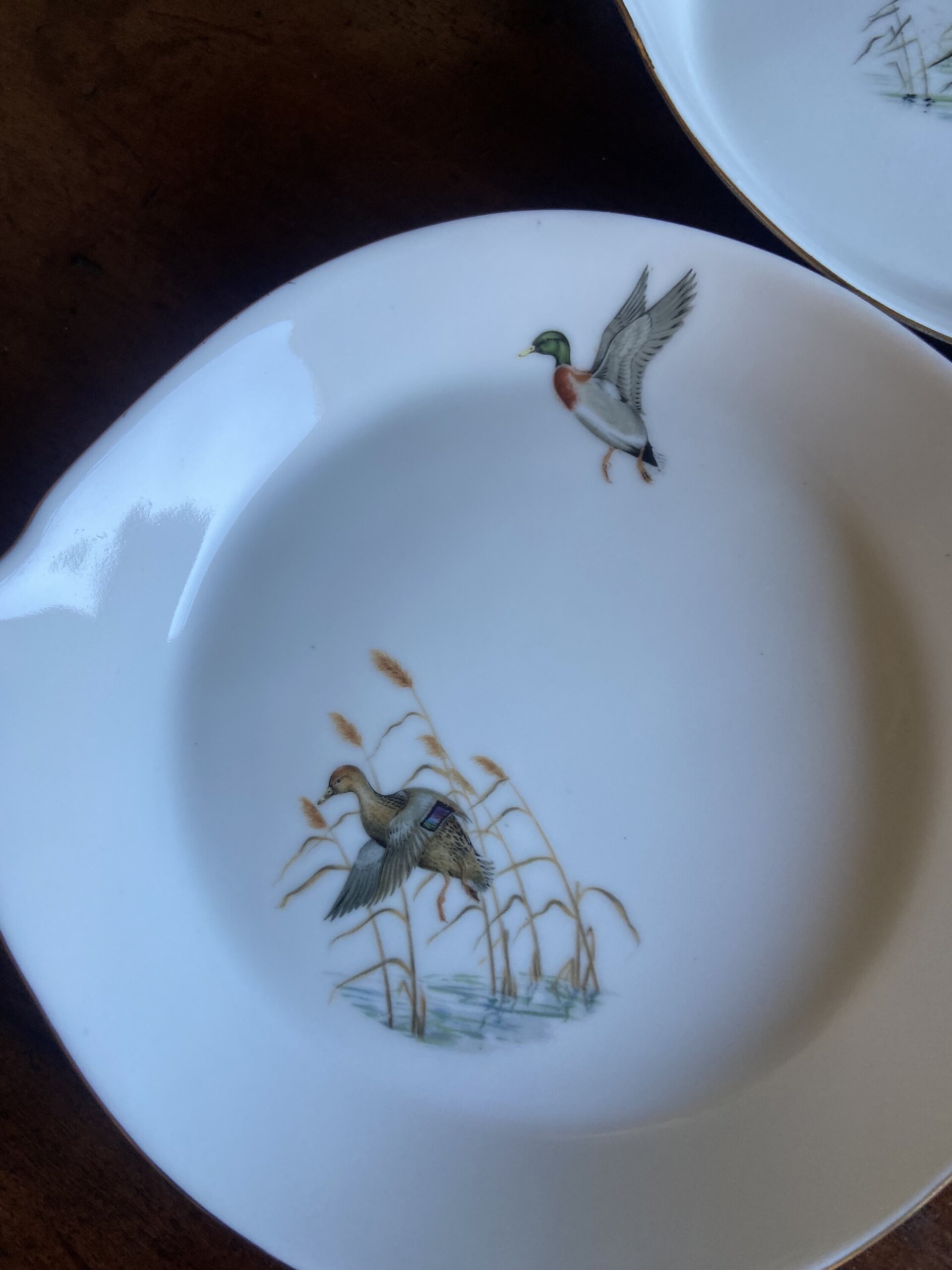 6 fuentes individuales en porcelana refractaria"Isard" - 6