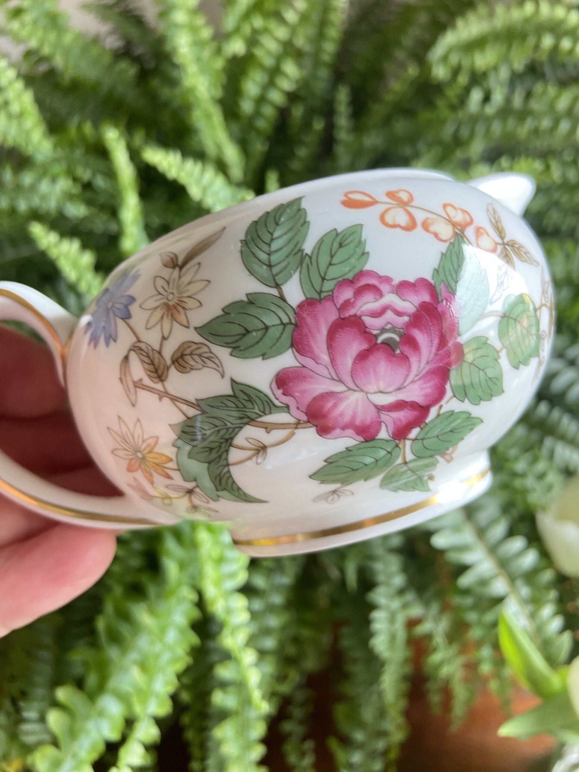 Jarra leche en porcelana inglesa "Wedgwood" - 7