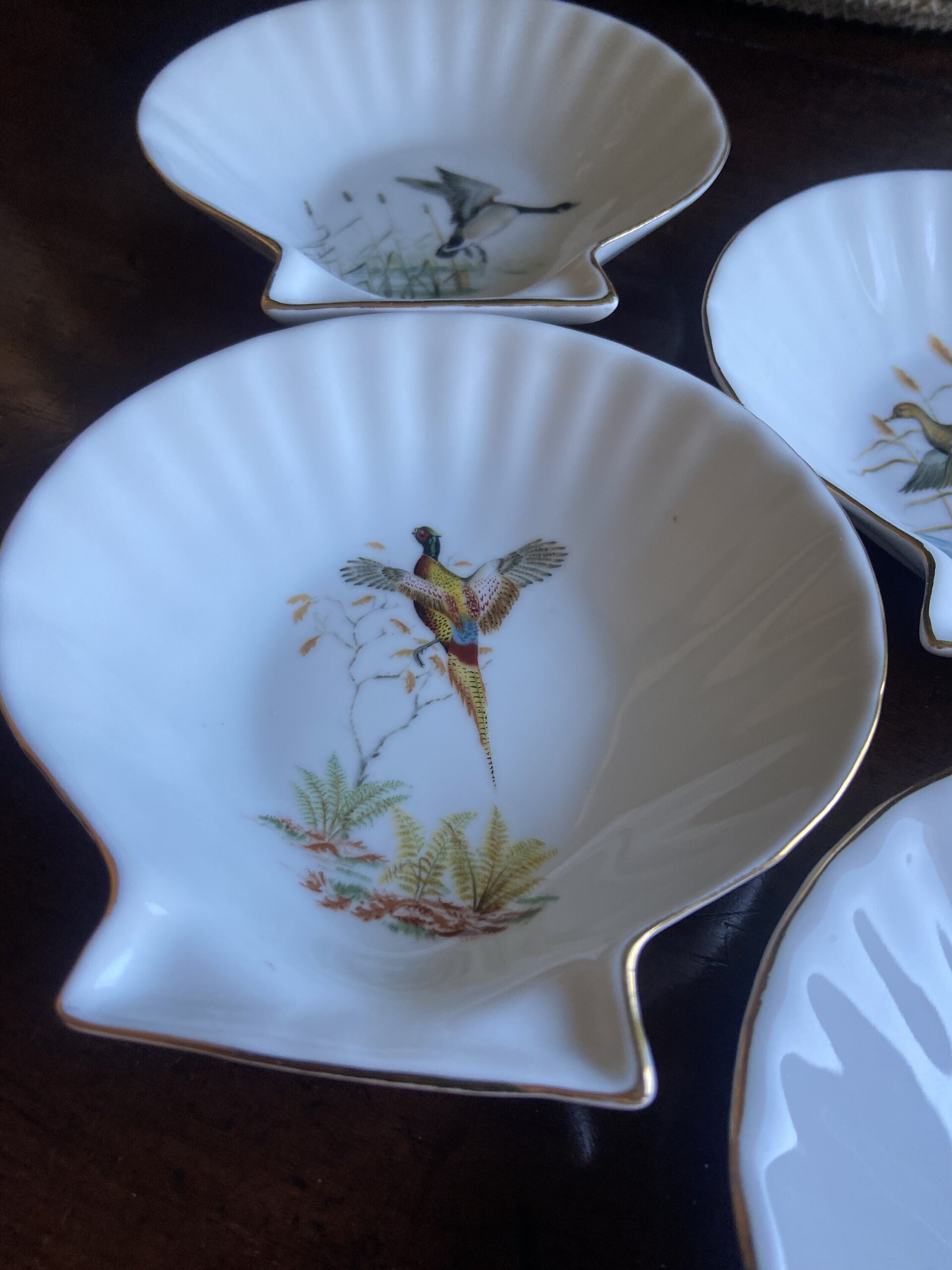 6 conchas en porcelana refractaria "Isard" - 3