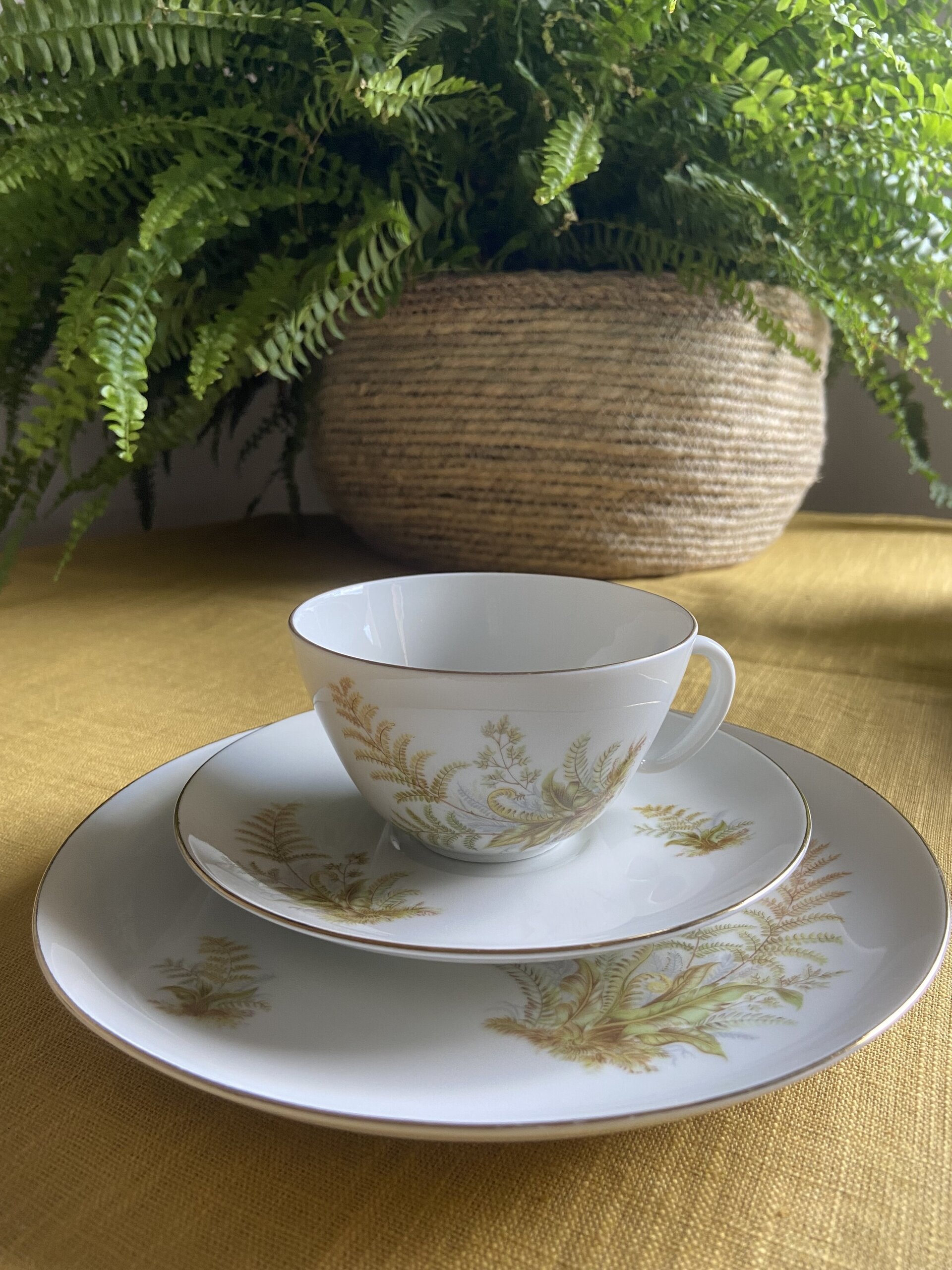 5 tazas de té/desayuno y 6 platos de merienda en porcelana suiza "Langenthal" - 5