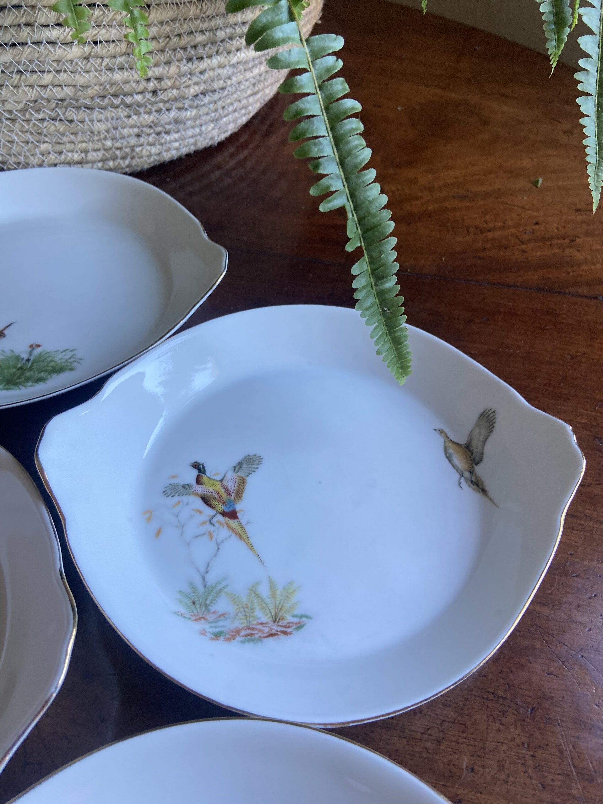 6 fuentes individuales en porcelana refractaria"Isard" - 4