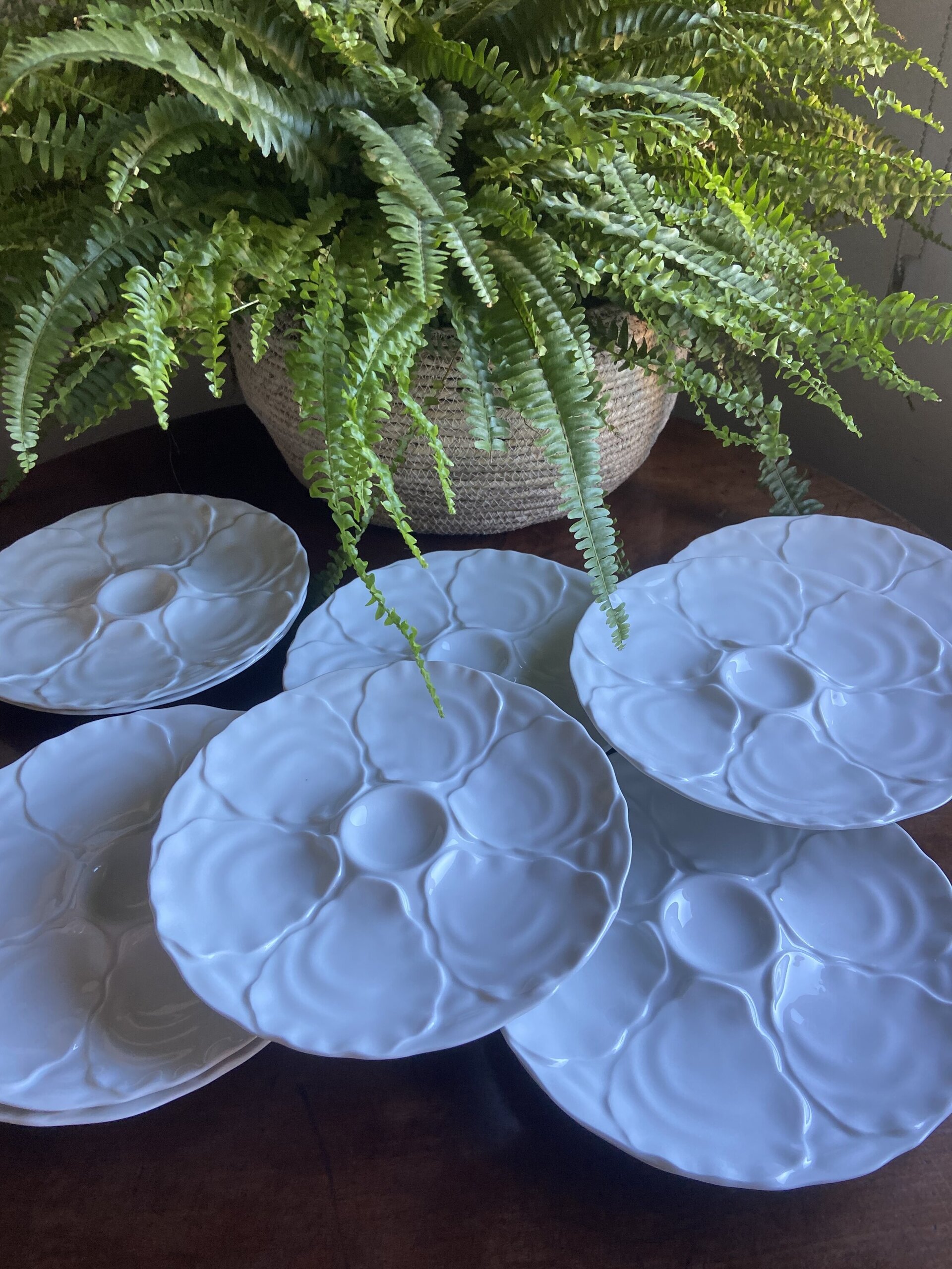 Platos para ostras en porcelana "Bidasoa". - 3