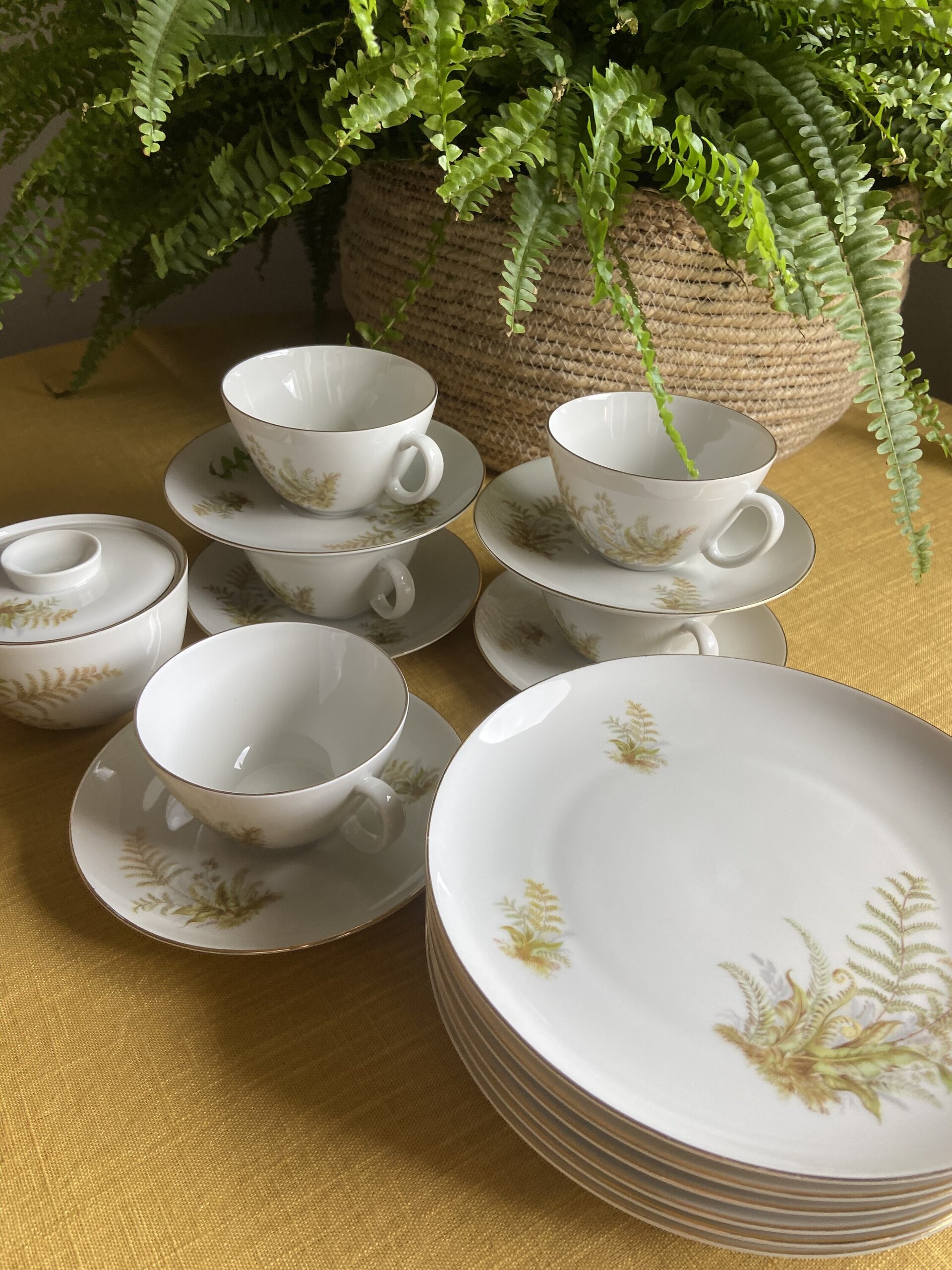 5 tazas de té/desayuno y 6 platos de merienda en porcelana suiza "Langenthal" - 10