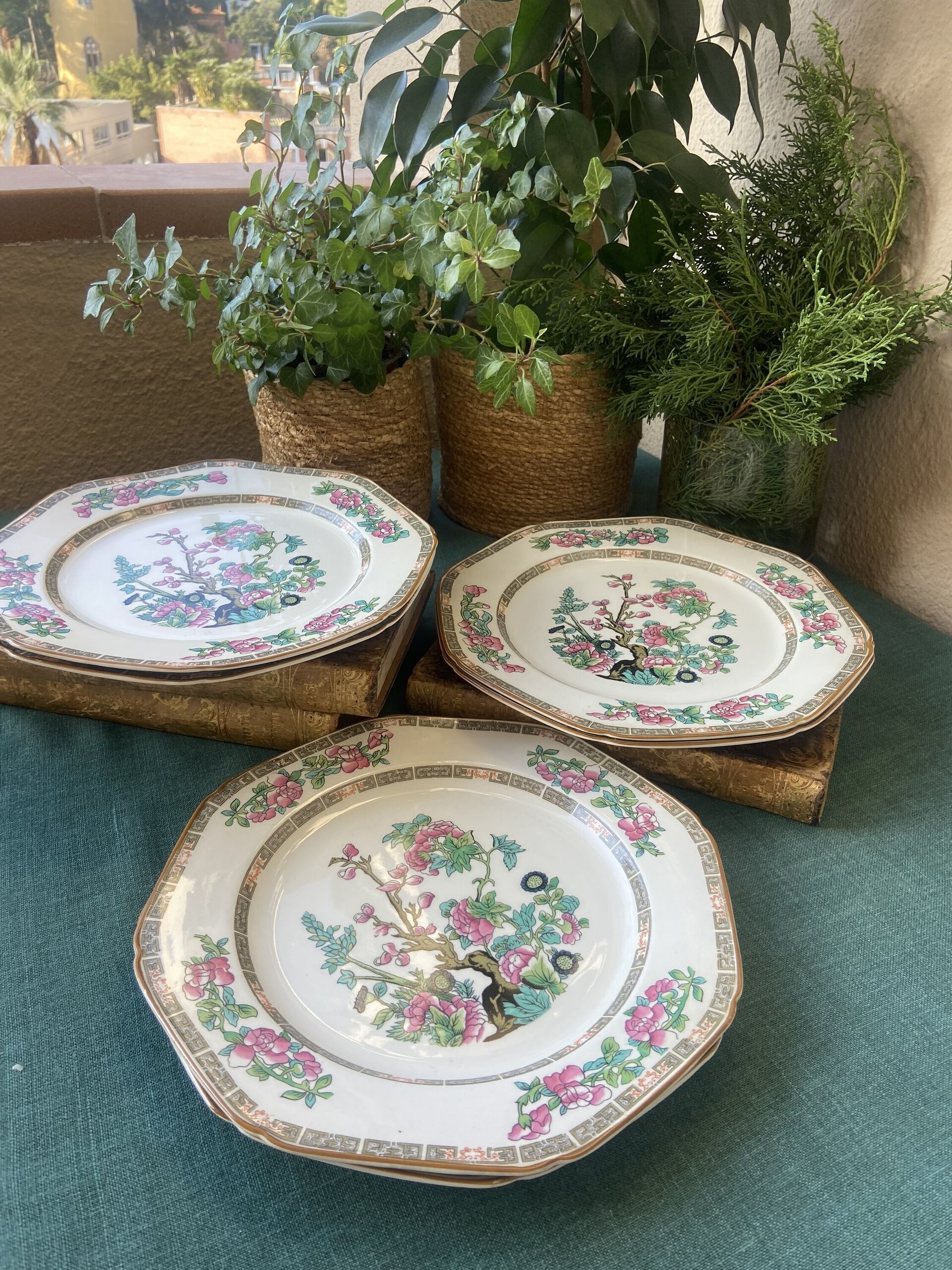 6 platos en fina porcelana inglesa "Wood & Sons". - 4