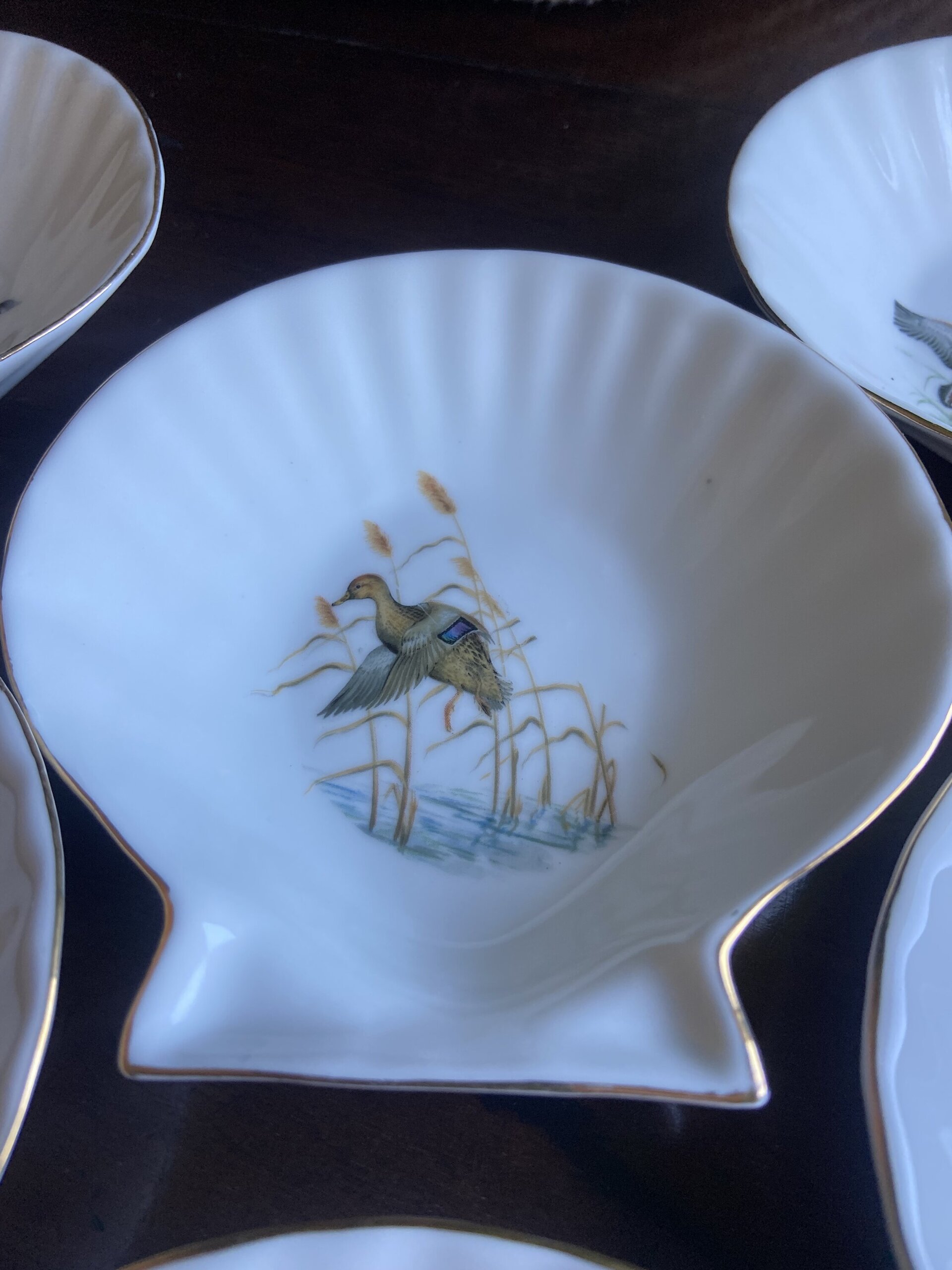 6 conchas en porcelana refractaria "Isard" - 2