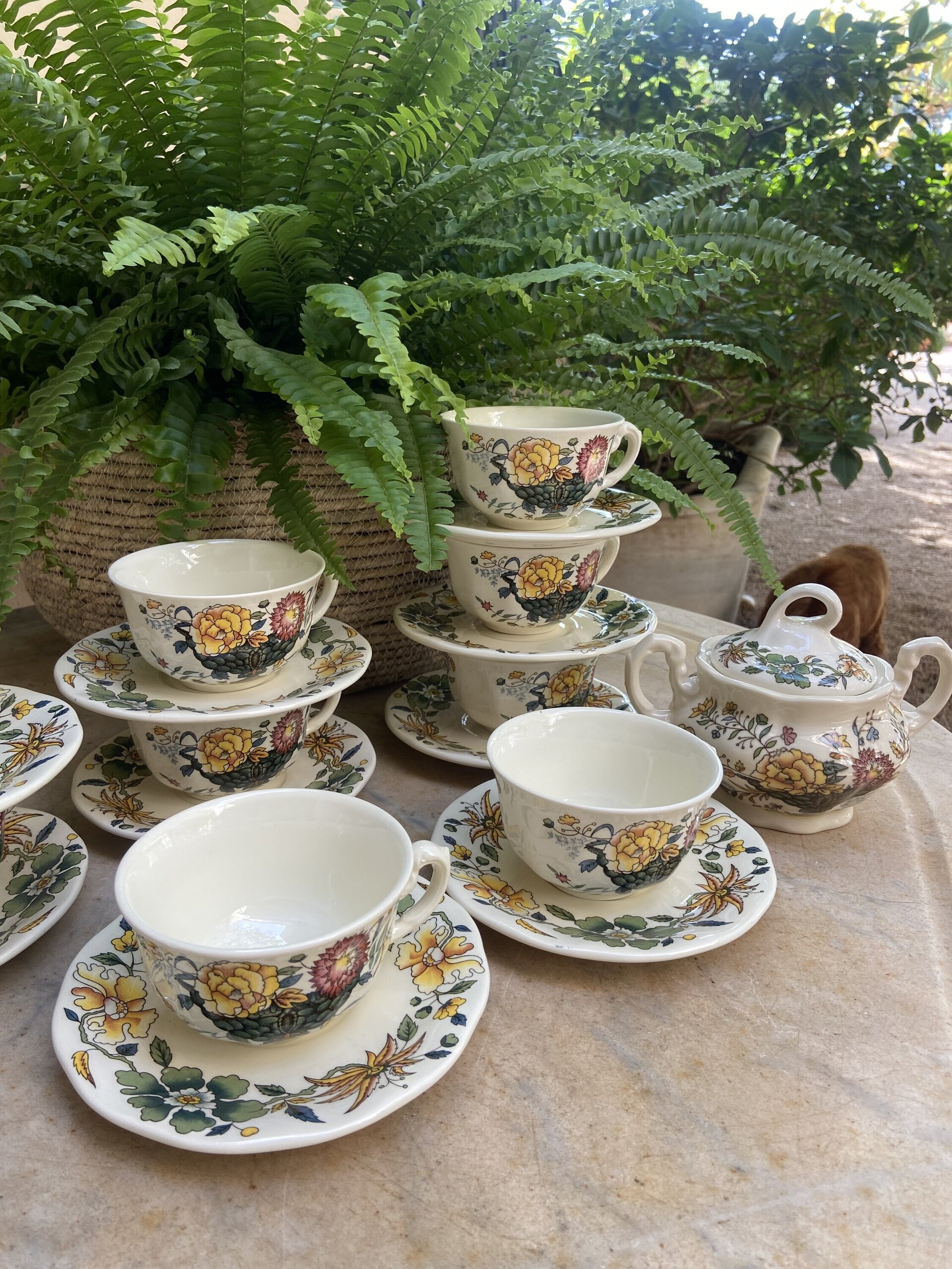 9 tazas de té y azucarero "La Cartuja de Sevilla" Pickman S.A. (mod. Bellavista) - 1