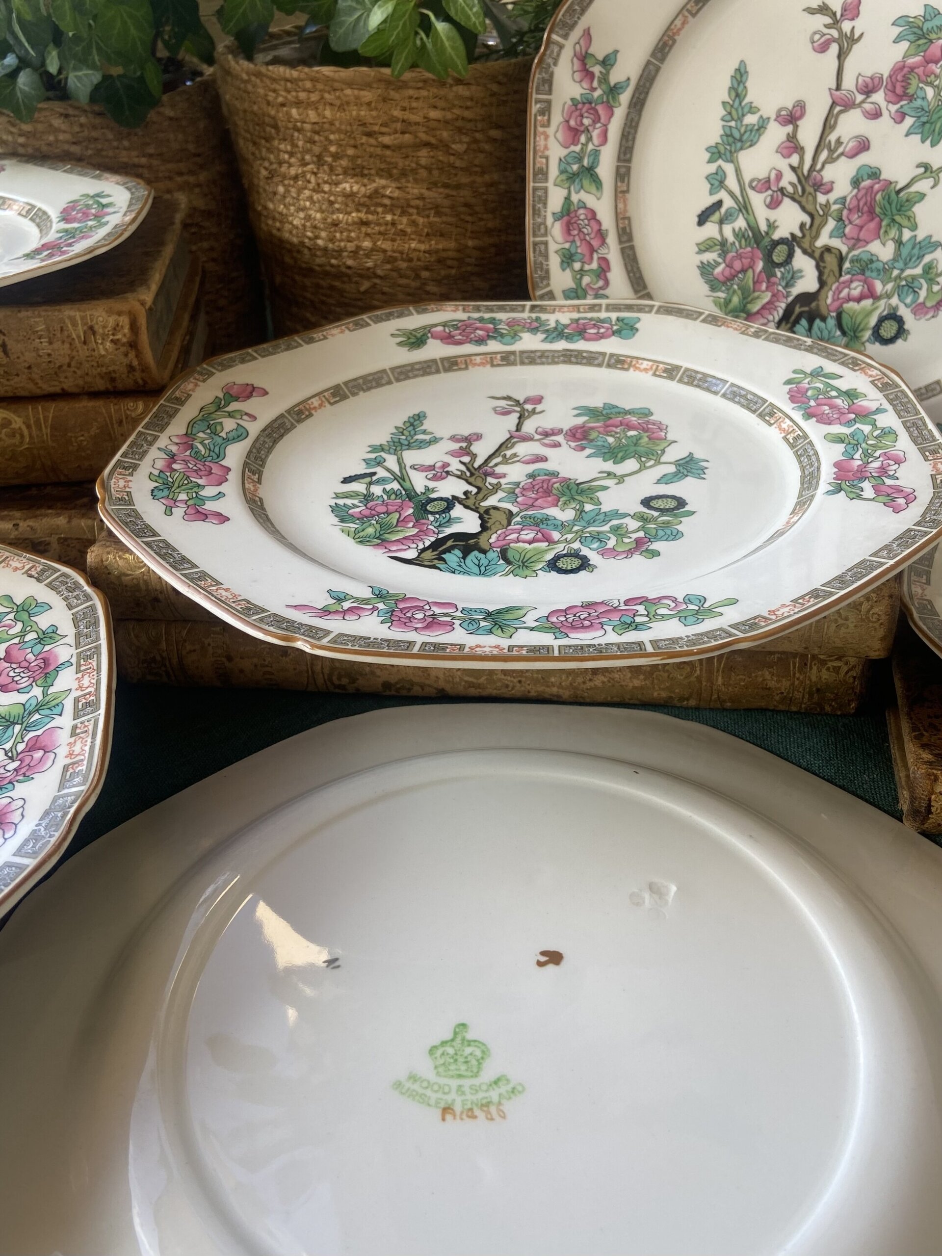 6 platos en fina porcelana inglesa "Wood & Sons". - 5