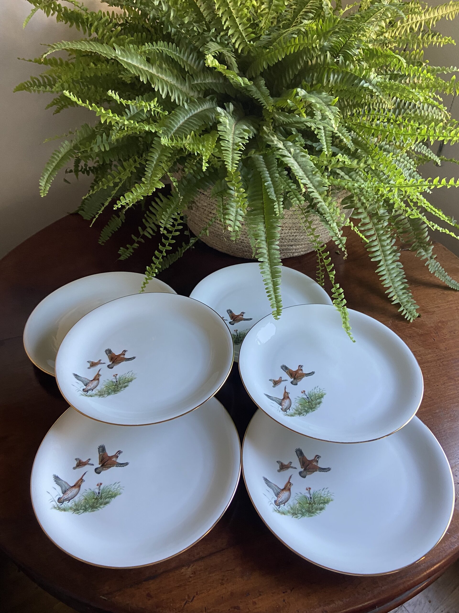 6 platos llanos en porcelana "Santa Clara". - 4