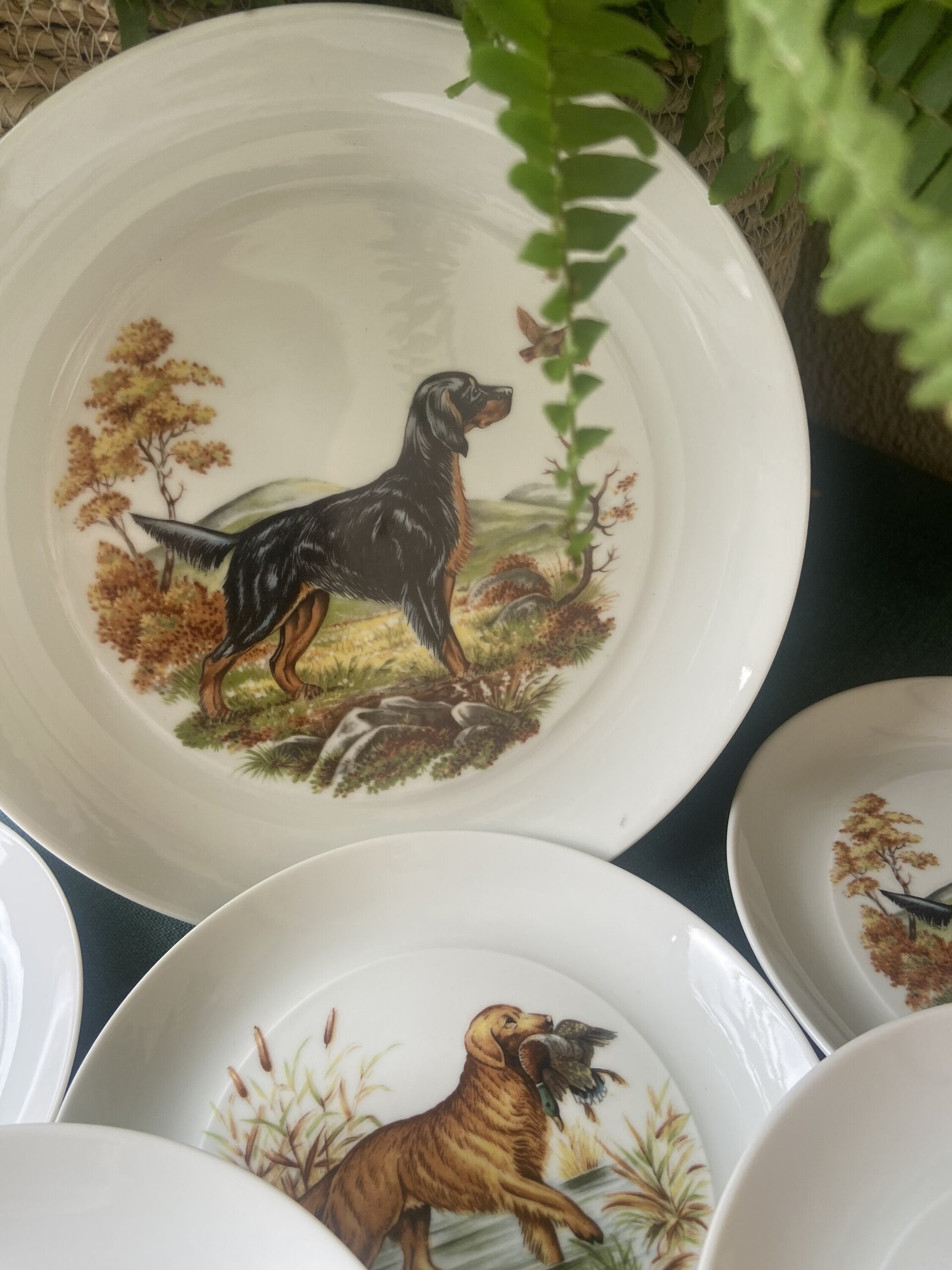 Fuente y 6 platos merienda en porcelana "Bidasoa". - 7