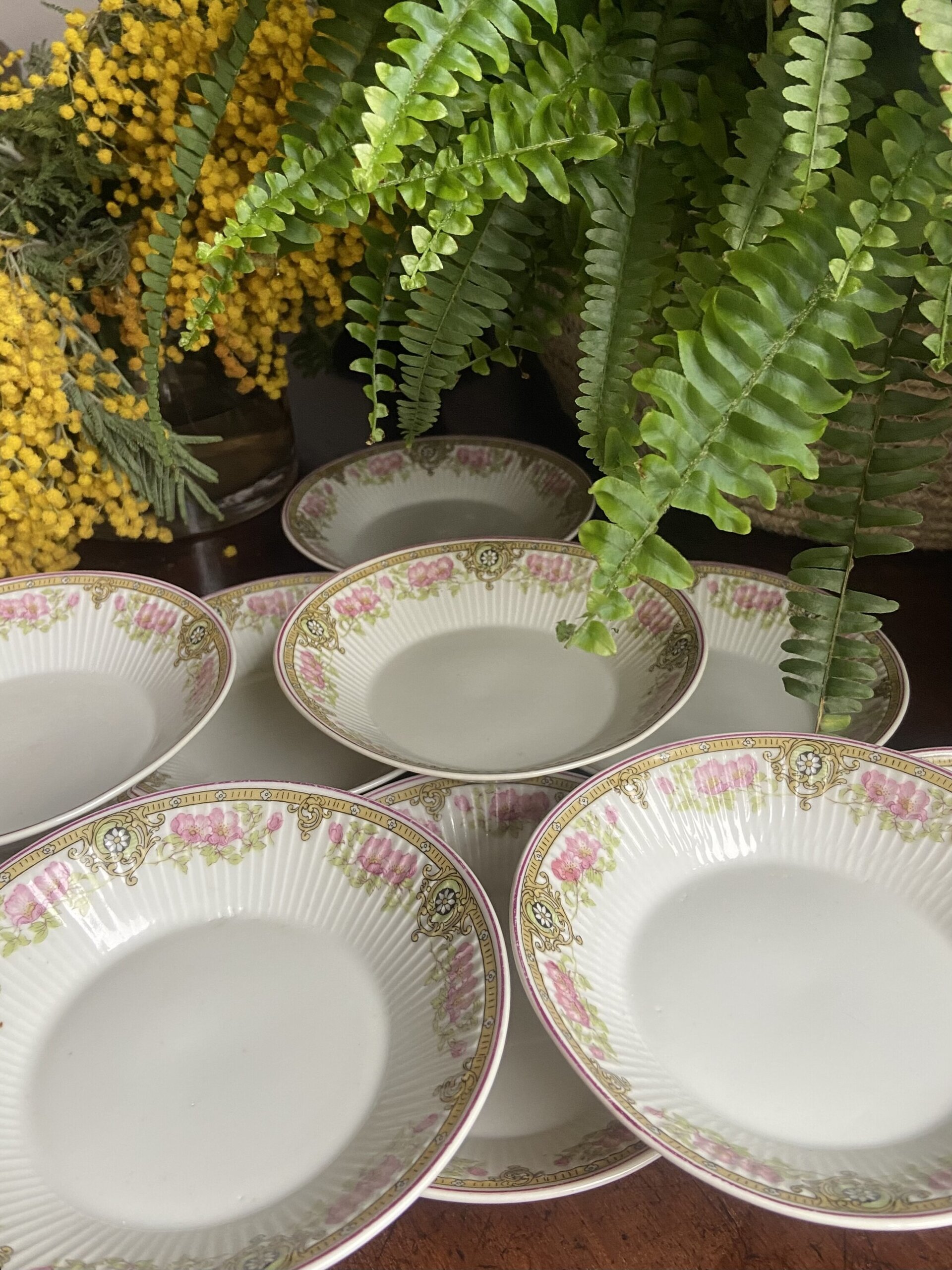 11 platos pan en porcelana francesa - 1