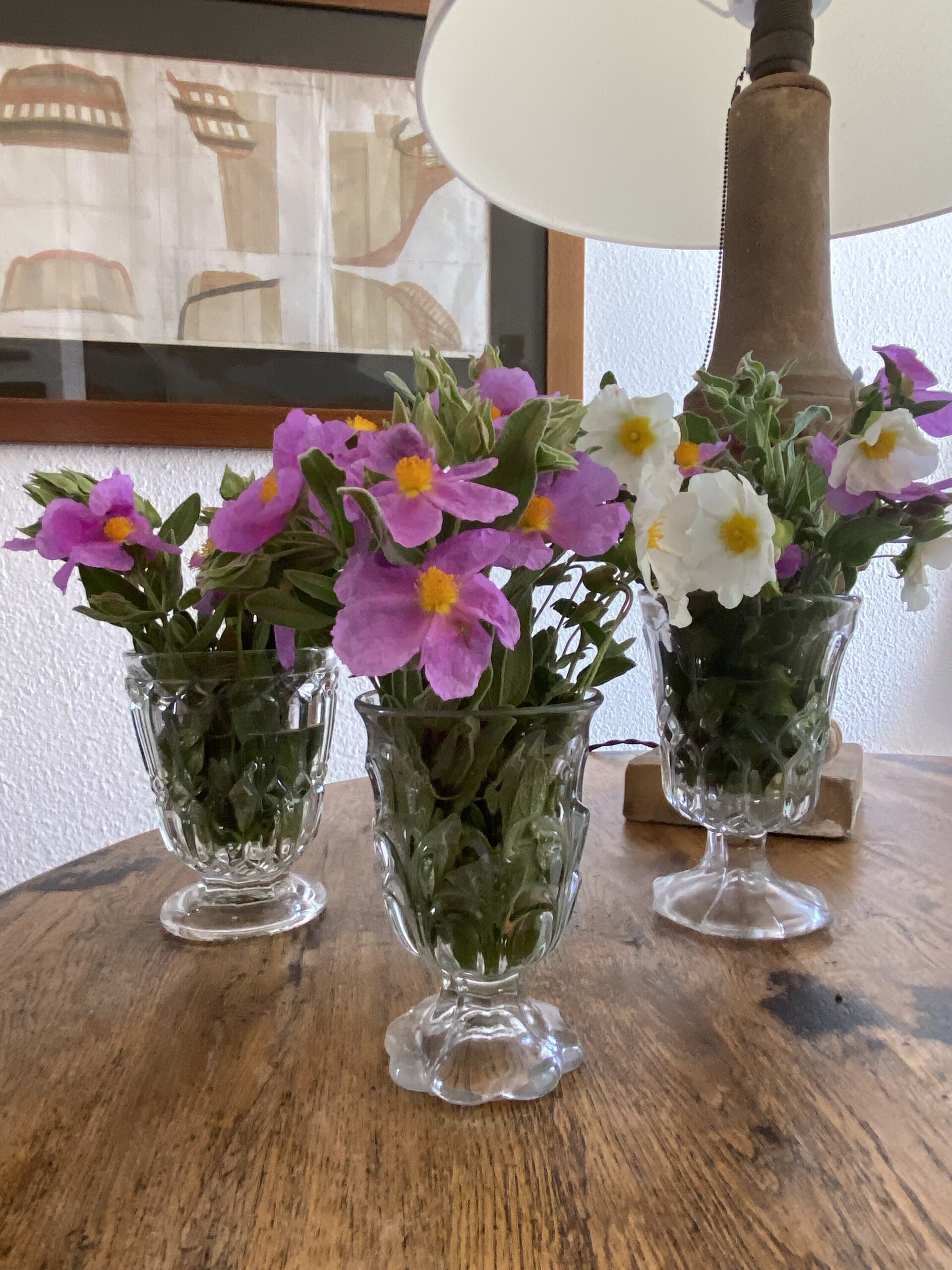 Copa huertana en vidrio de cristalerias "Santa Lucia" Murcia. - 3