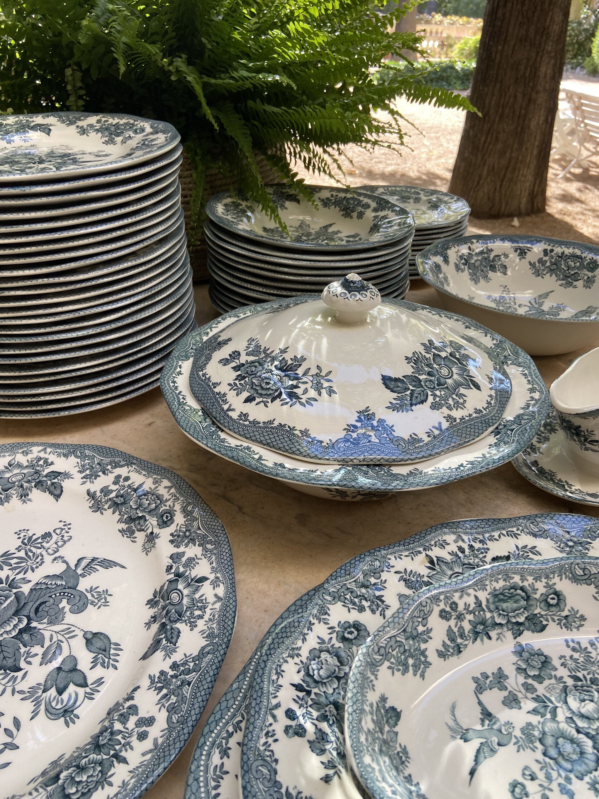 Vajilla en loza inglesa "Wedgwood" mod. Asiatic Phersants - 2